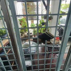 Ardisia Garden (D19), Terrace #464459341